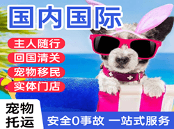 景德镇罗家机场快运国际宠物托运 【国